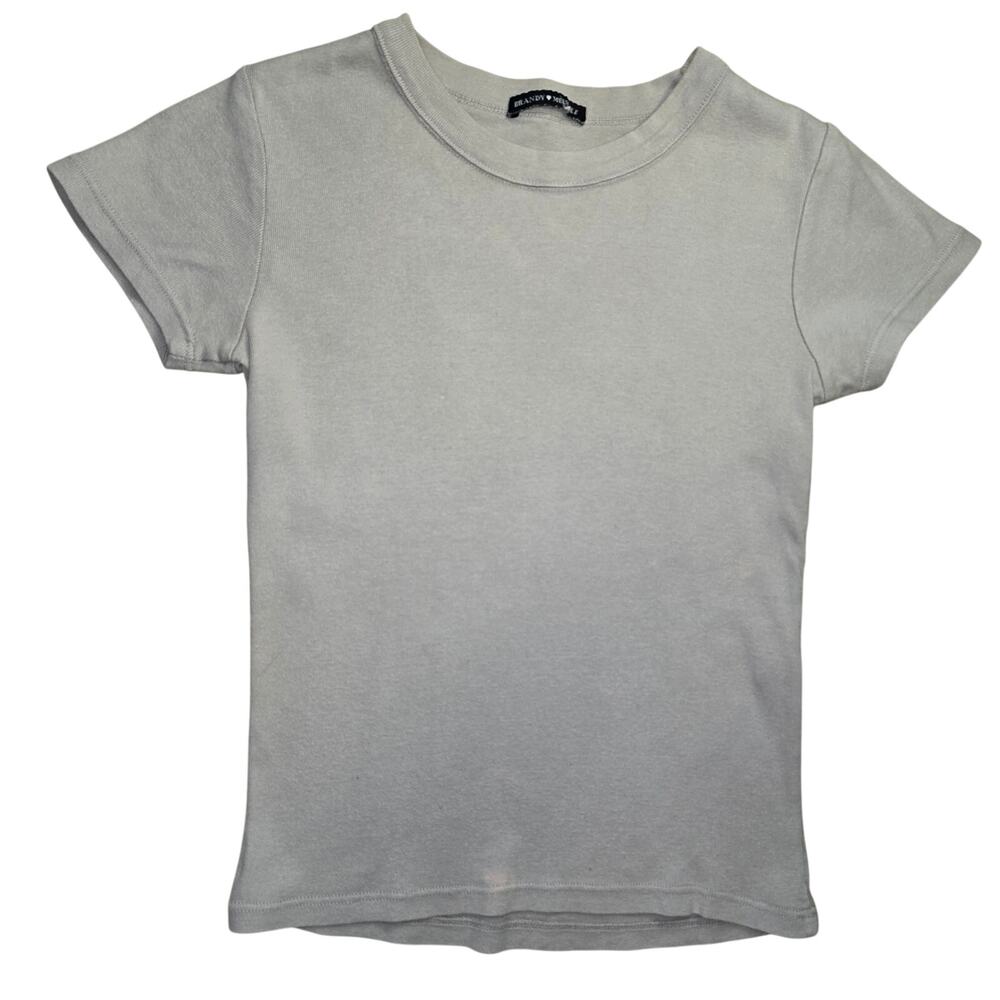 Brandy Melville Gray Baby Tee Size XS